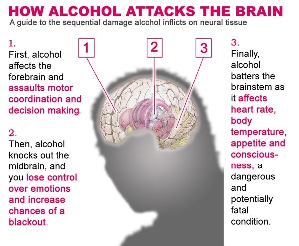 how-alcohol-atacks-the-brain