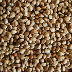 whole-hemp-seeds